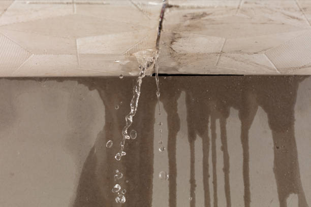 Professional Burst Pipe Cleanup technician working in Roseville, MN